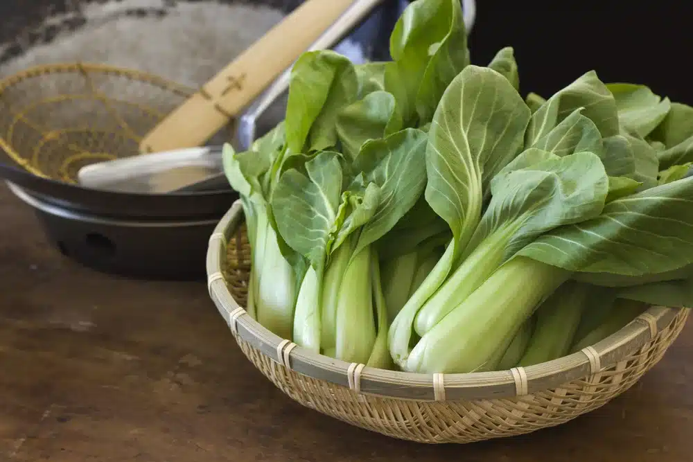 How to Keep Tamales Warm in a Slow Cooker