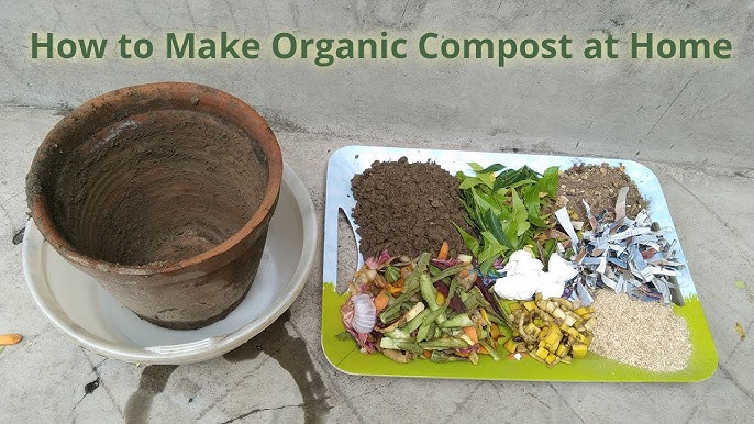 How to Make Compost at Home from Kitchen Waste