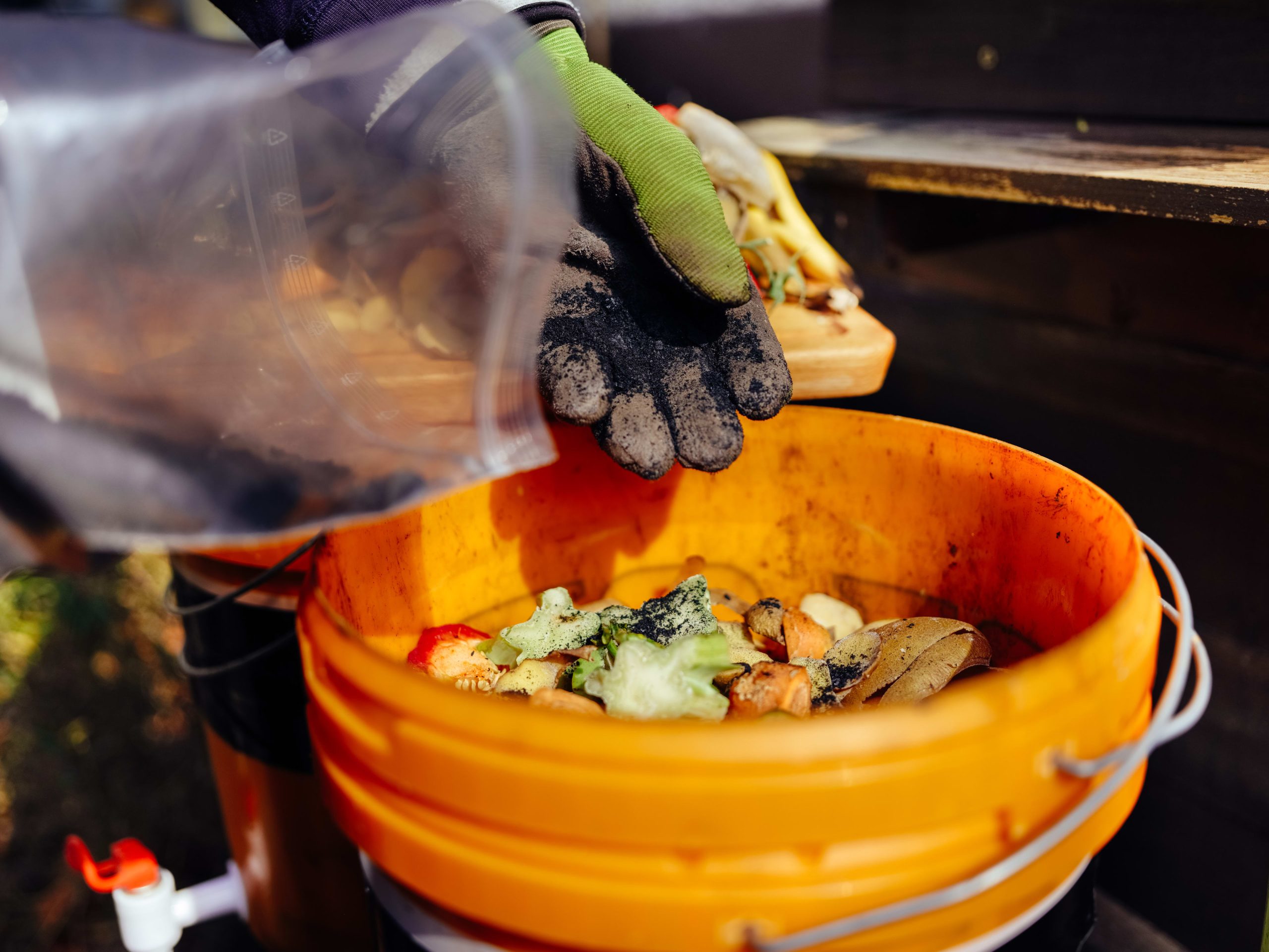 How to Make Compost Tea from Kitchen Waste