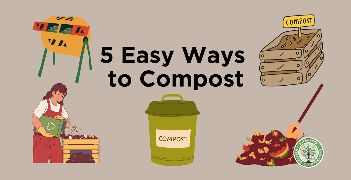 How to Start Composting Kitchen Waste