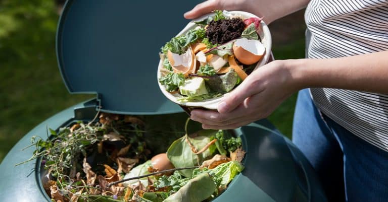 How to Use Kitchen Waste for Compost: Easy Steps for Lush Gardens - Kitchen
