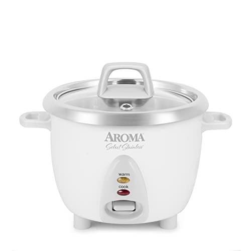 Mini Stainless Steel Rice Cooker