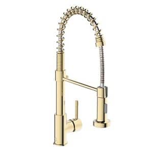 Mixed Metal Kitchen Faucet