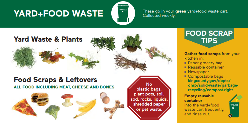 What Can Be Composted from the Kitchen