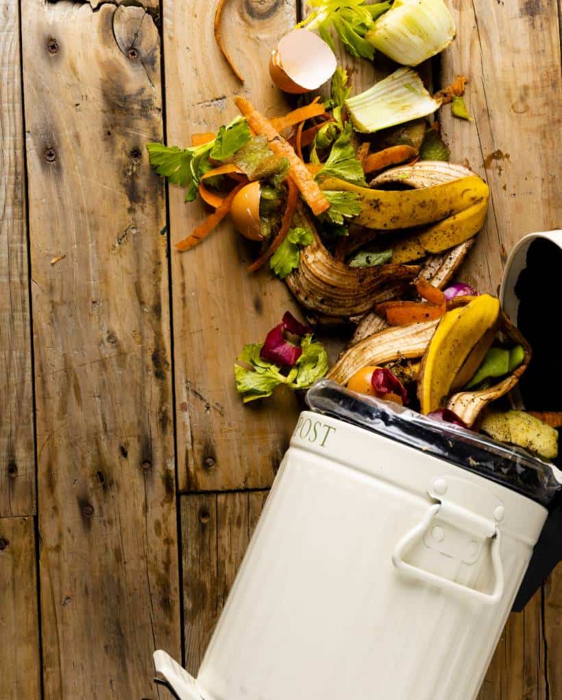 What Can You Put in a Kitchen Compost Bin
