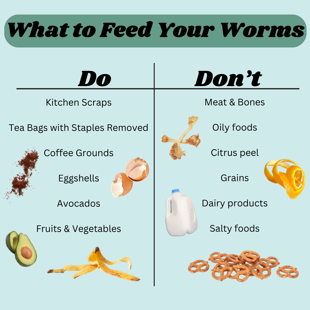What Kitchen Scraps Can Be Composted